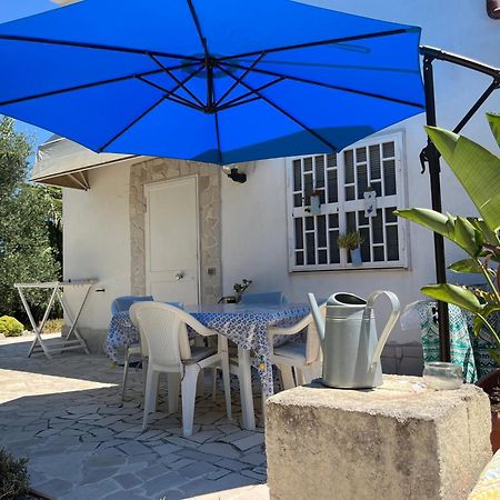 B&B Villa Mediterranee Con Parking Space Trani Eksteriør bilde