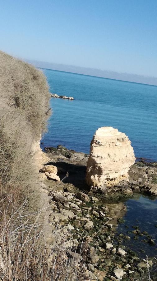 B&B Villa Mediterranee Con Parking Space Trani Eksteriør bilde
