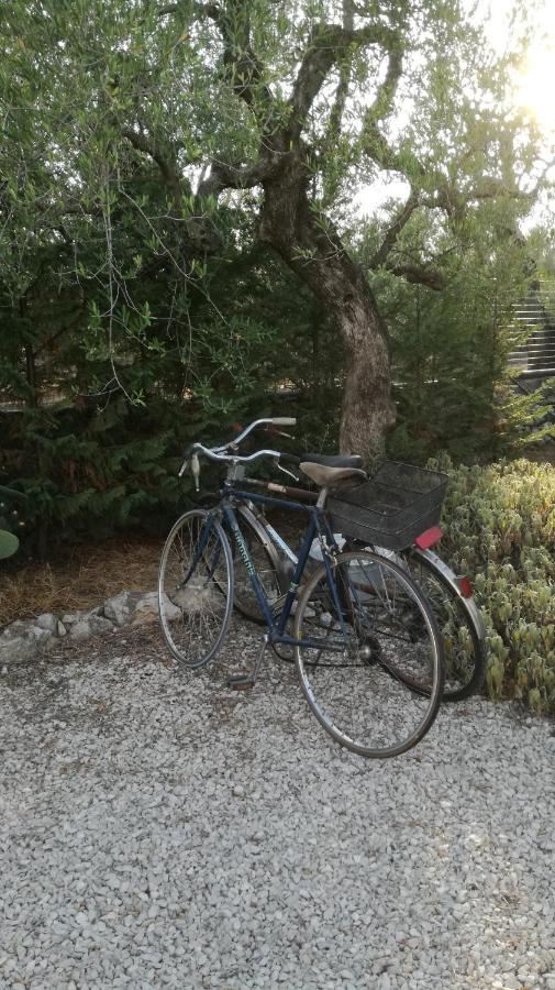 B&B Villa Mediterranee Con Parking Space Trani Eksteriør bilde