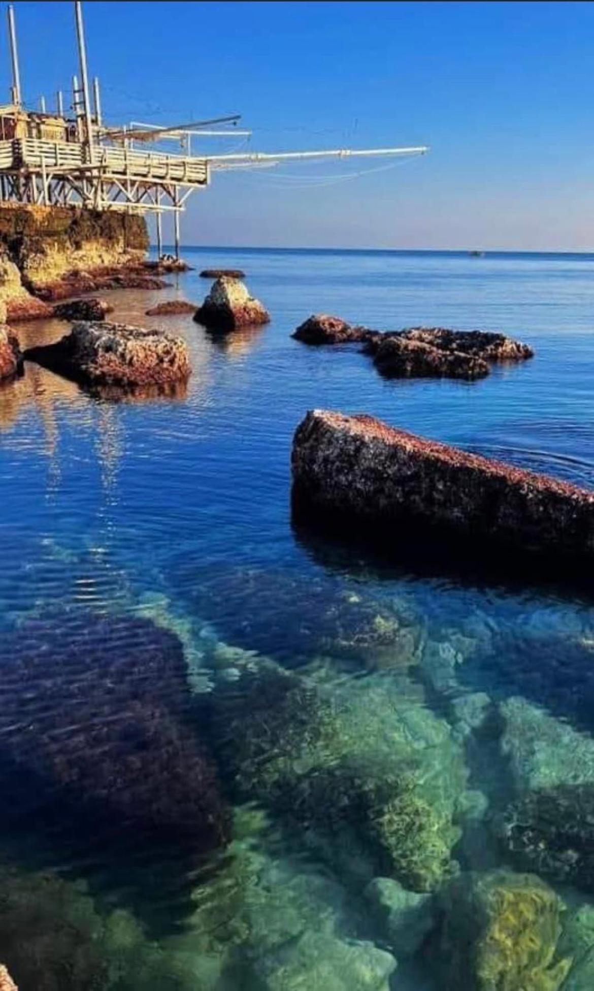 B&B Villa Mediterranee Con Parking Space Trani Eksteriør bilde